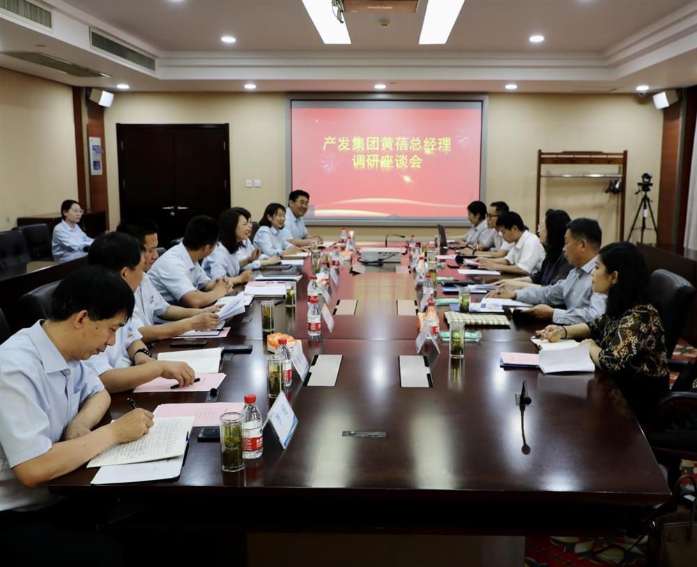 集團黨委副書記、總經(jīng)理黃蓓帶隊調(diào)研濟南市工程咨詢院